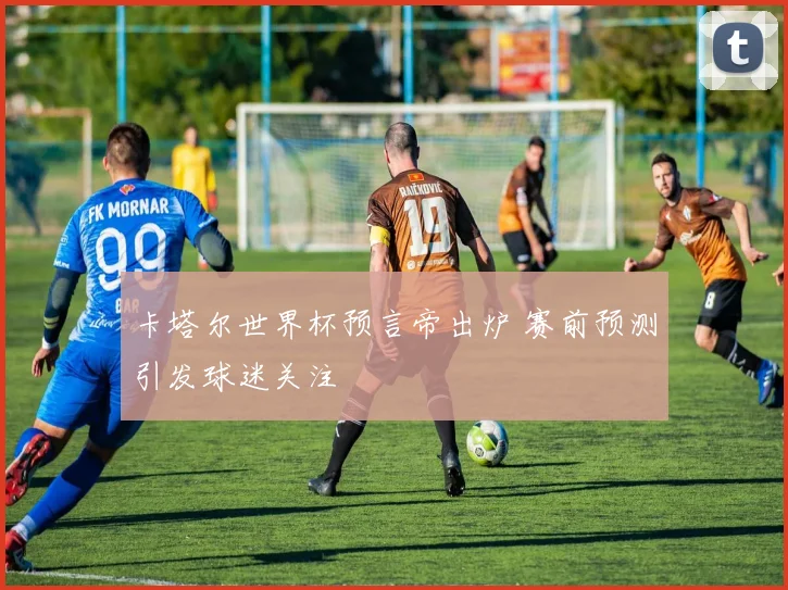 卡塔尔世界杯预言帝出炉 赛前预测引发球迷关注